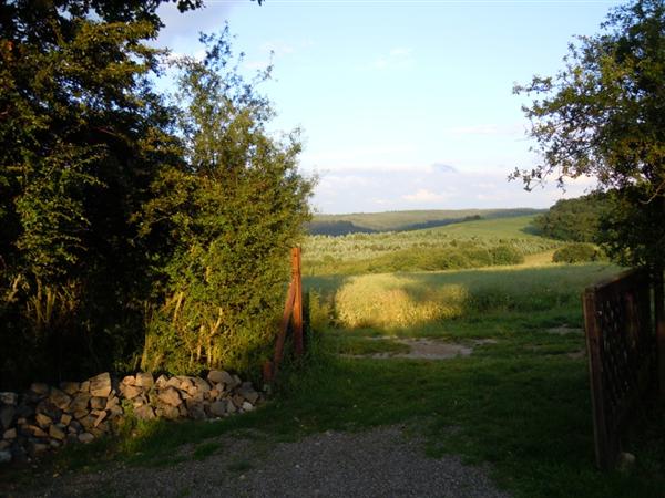 Blick vom Grillplatz in die Landschaft